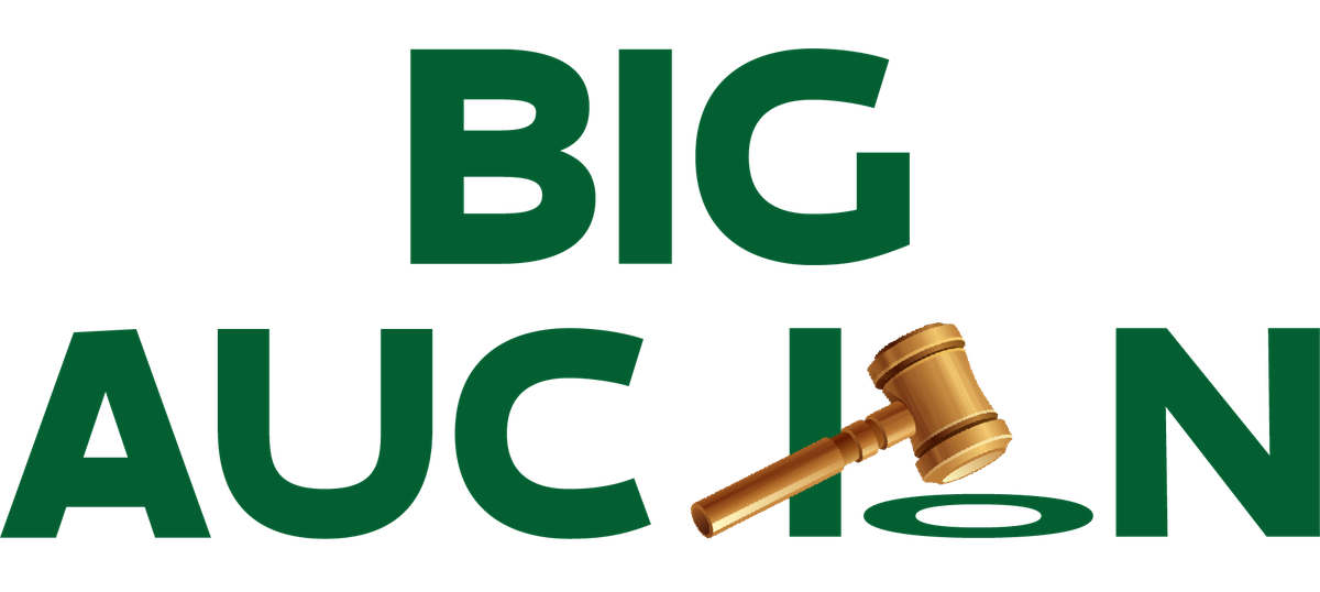 Big Auction logo