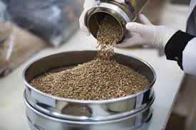 Fish Feed